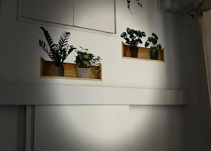 Appia Apartamento